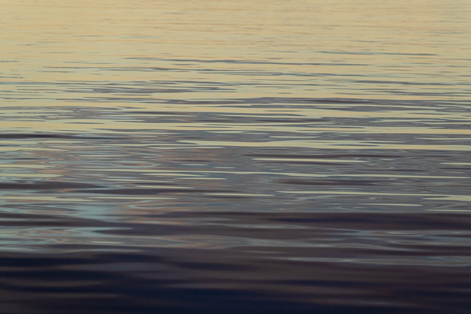 Flat calm water at dusk