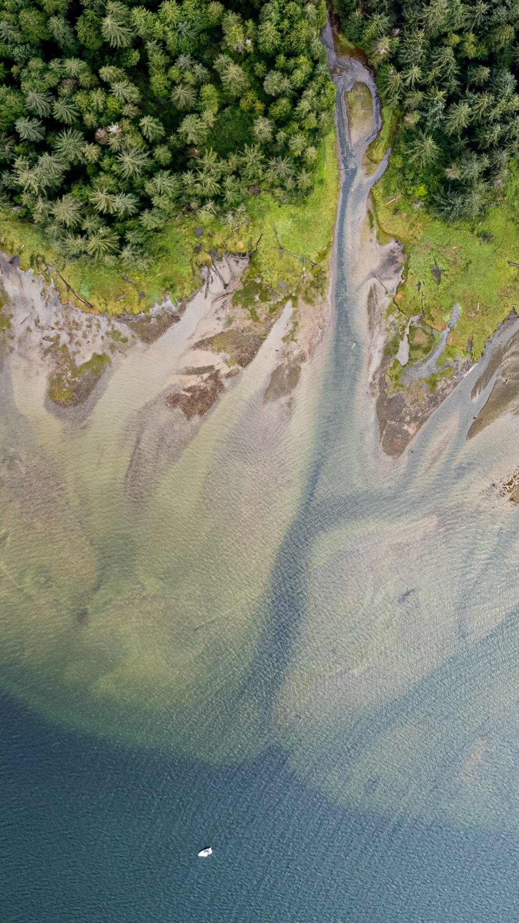 Aerial view of a creek delta running into the sound