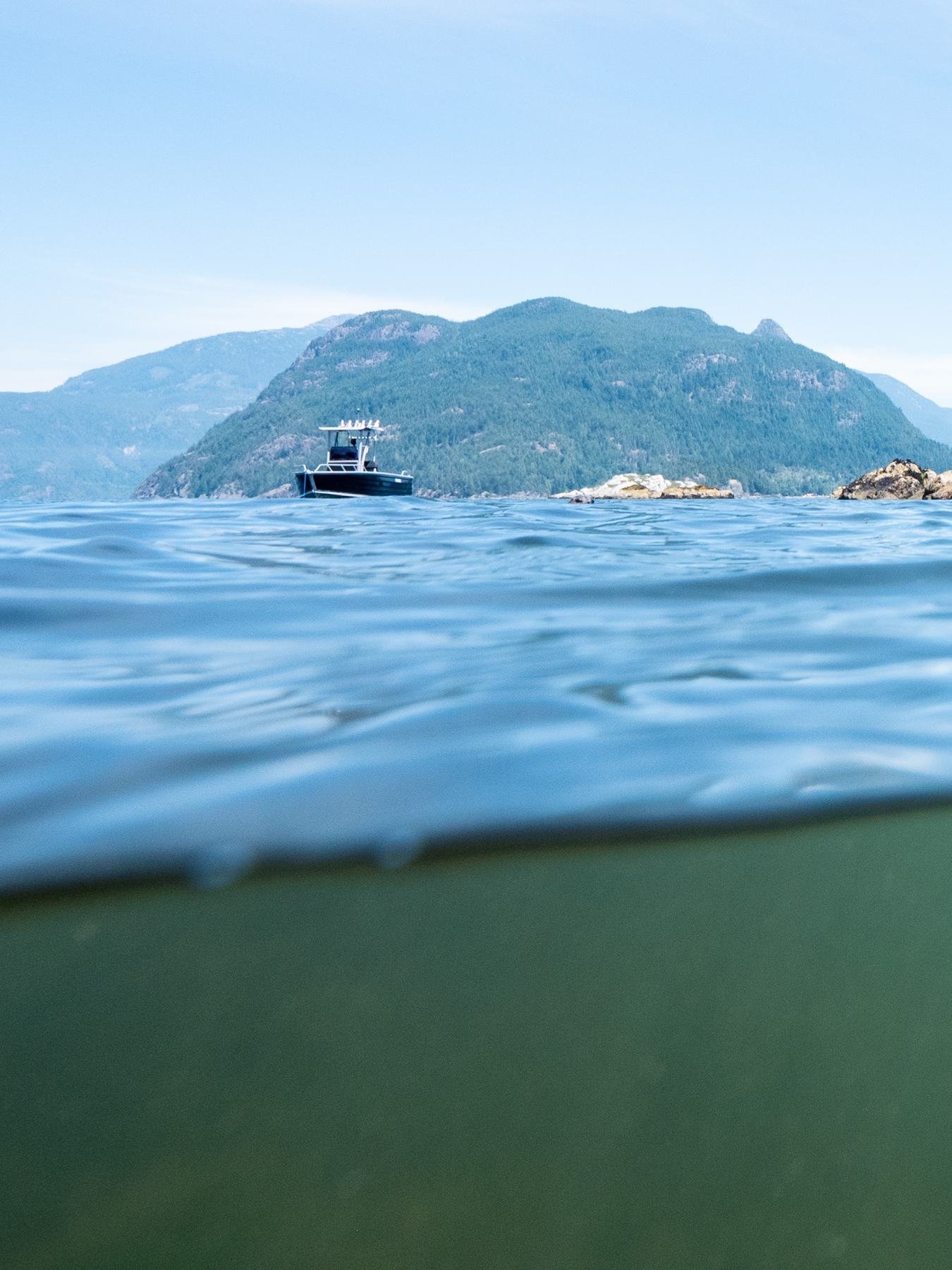 A True Wild Coastal boat on Howe Sound, seen from the waterline with a forested island behind